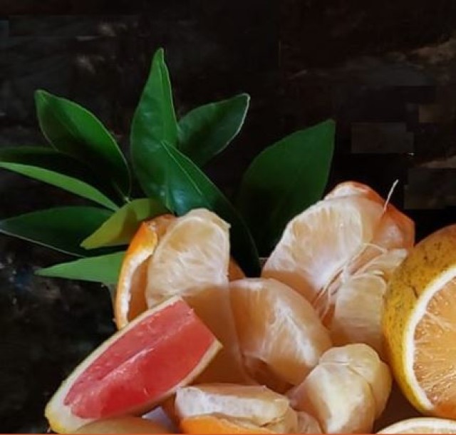 Showcase of Citrus