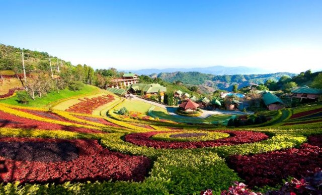 Doi Mae Salong