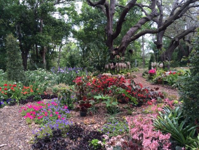 Mead Botanical Garden