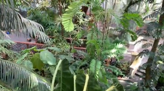 United States Botanic Garden