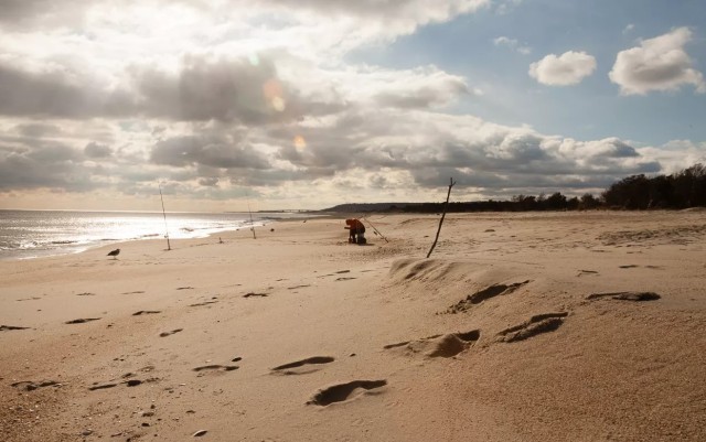 Sandy Hook Beach