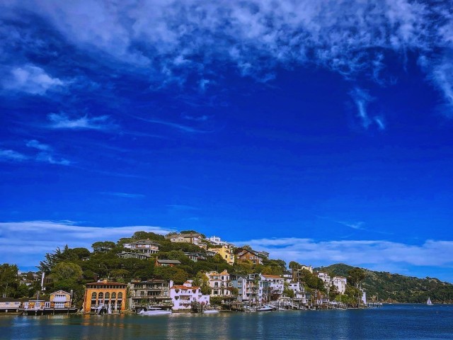 Tiburon