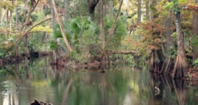 Jonathan Dickinson State Park