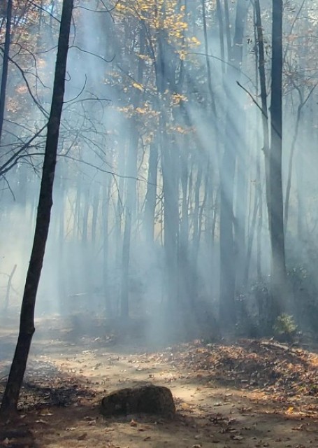 DuPont State Recreational Forest