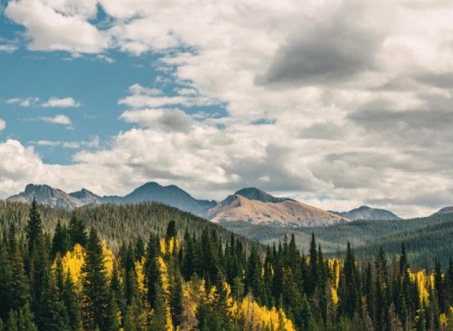 State Forest State Park