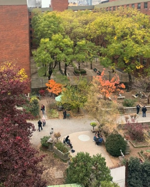 Elizabeth Street Garden