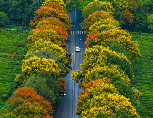 Hangzhou