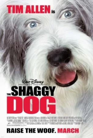 Shaggy Dog