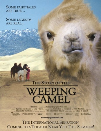 Story Of The Weeping Camel