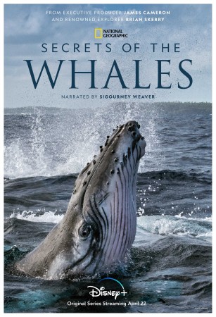 Secrets Of The Whales