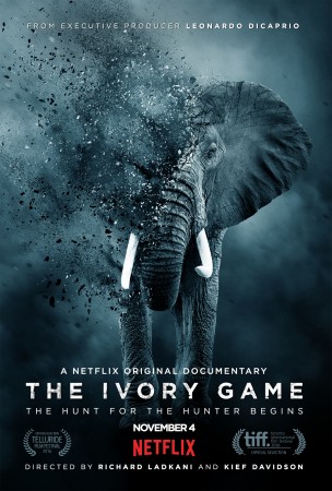 Ivory Game
