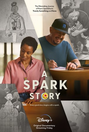 Spark Story