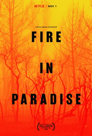 Fire In Paradise